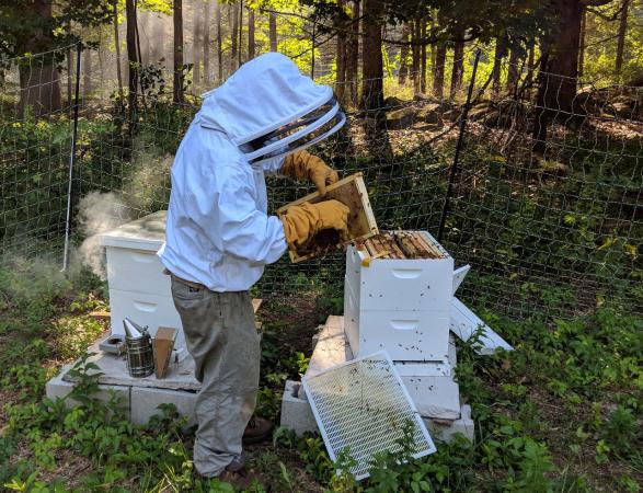 Beekeeping at the Retreat Center