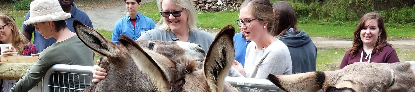 Retreat guests pet donkeys